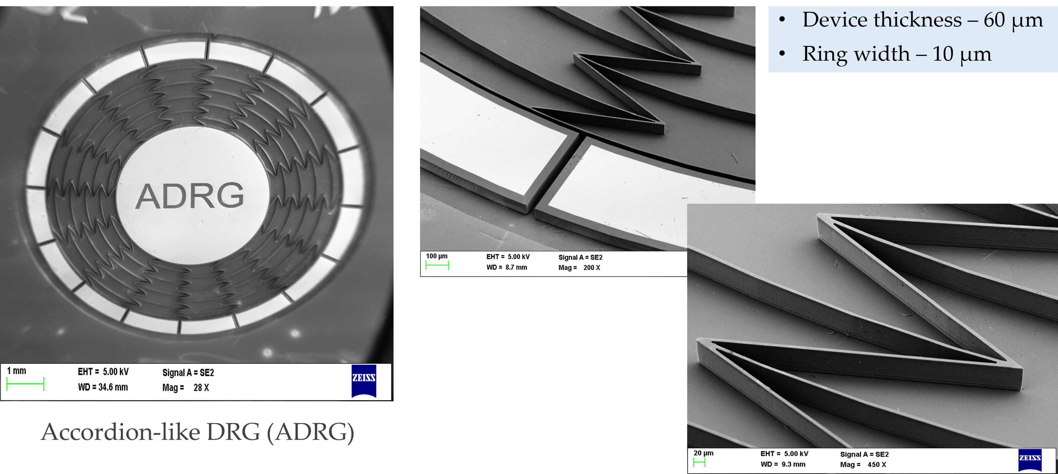 SEM micrographs of fabricated ADRG showing accordion-like ring structure at multiple magnifications